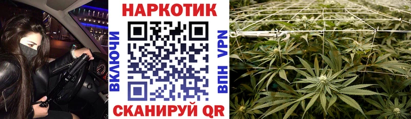 Где продают наркотики Бокситогорск Канабис  Амфетамин  ГАШИШ  Меф мяу мяу  Cocaine 