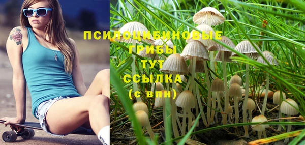 СК Кукмор