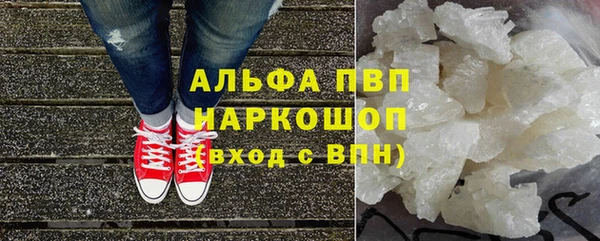 гидра Богородск