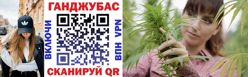 Марихуана план  Бокситогорск 